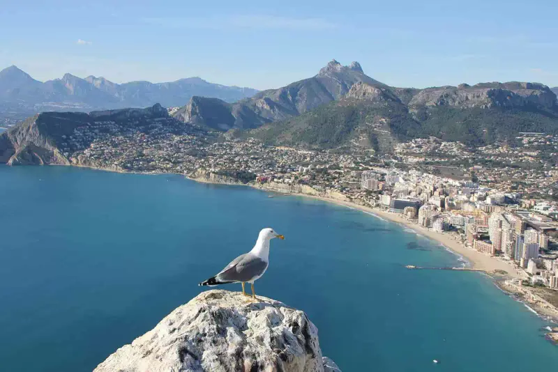 Alicante